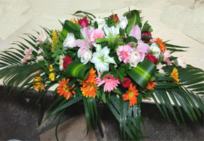 zhuohua-1.jpg